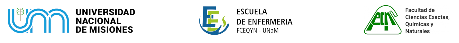 Aula Virtual Escuela de Enfermería - UNaM